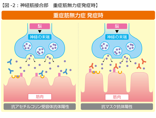 疱瘡 読み方 天 類