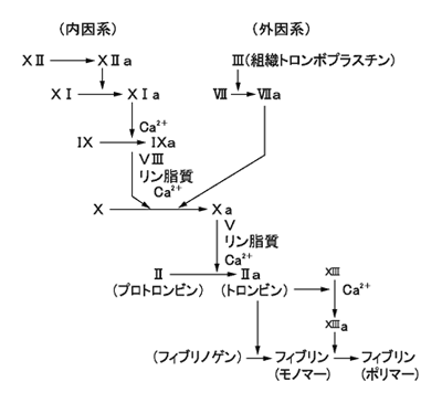 コーンの低温エタノール分画法