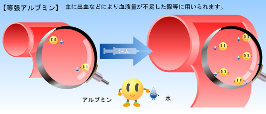 総たんぱく、アルブミン   血液    kankinou.net