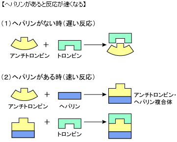 【ヘパリンがあると反応が速くなる】