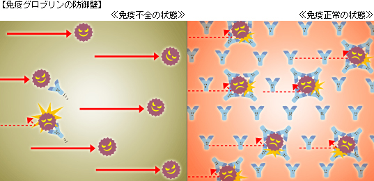 免疫グロブリンの防御壁