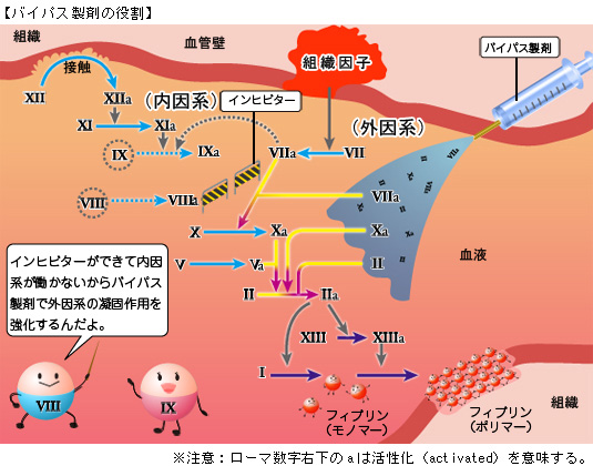 バイパス製剤の役割