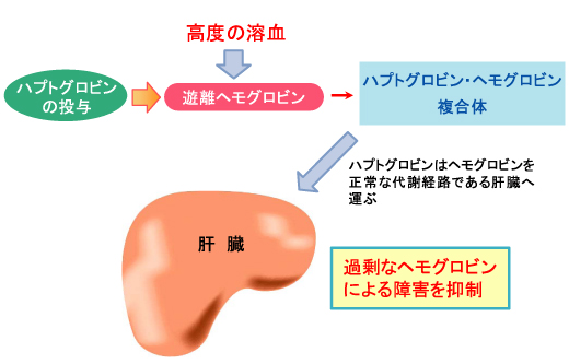 図２−ハプトグロビン製剤