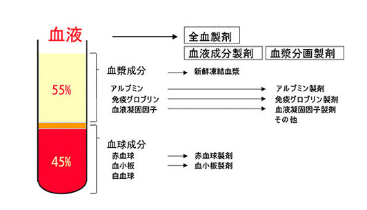 血液とは?血液製剤と血漿分画製剤の違いとは? 血液とは?血液製剤と血漿分画製剤の違いとは?